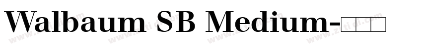 Walbaum SB Medium字体转换